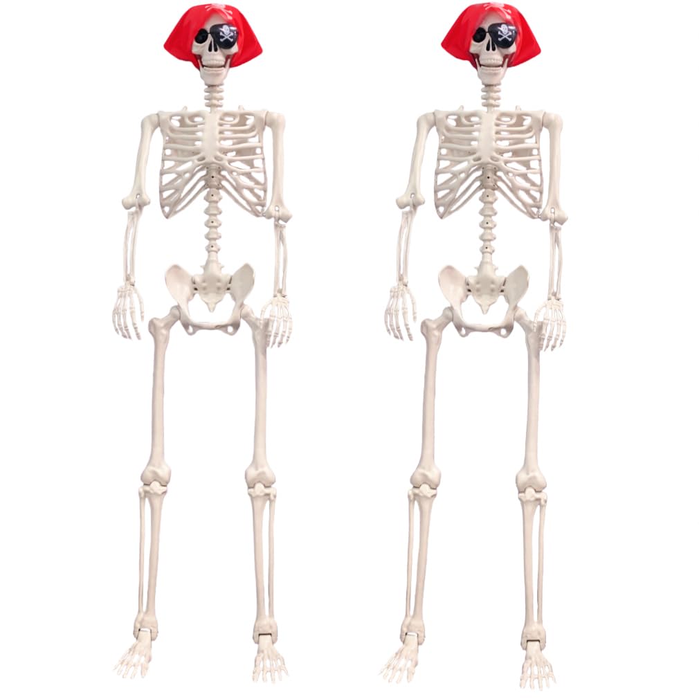 Life Size Posable Skeleton Decoration O9264