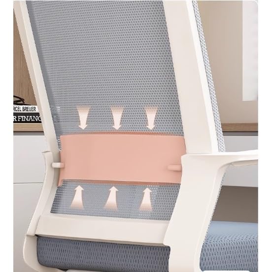 Ergonomic Middle Back Breathable Mesh Office Chair F473319