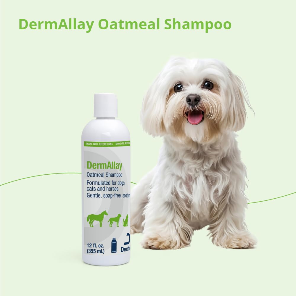 Oatmeal Shampoo for Dogs, Cats and Horses, 12 Fl Oz Y34892