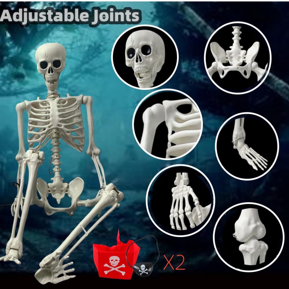 Life Size Posable Skeleton Decoration O9264