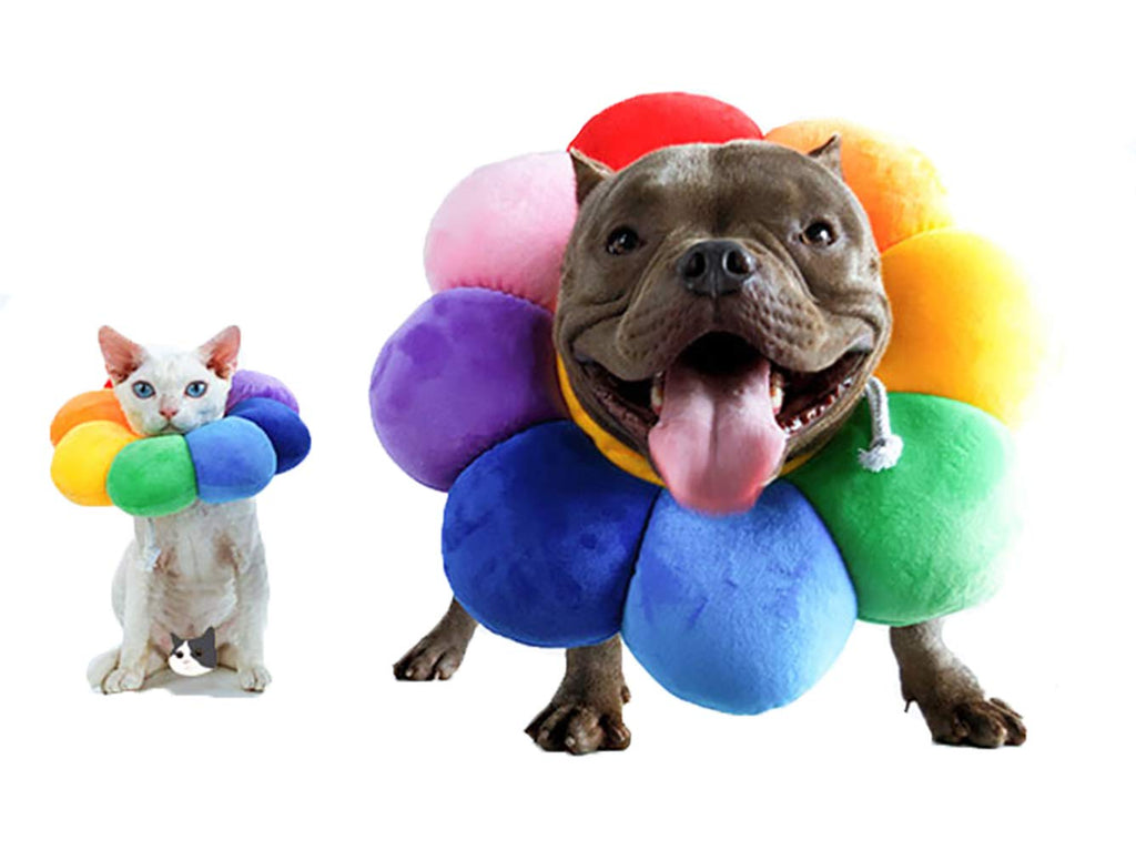 Adjustable Soft Recovery Collar for Pets S710