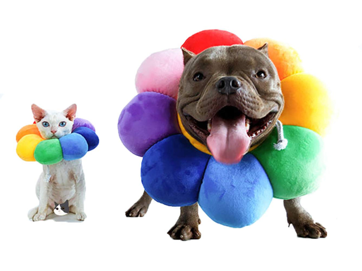 Adjustable Soft Recovery Collar for Pets S710