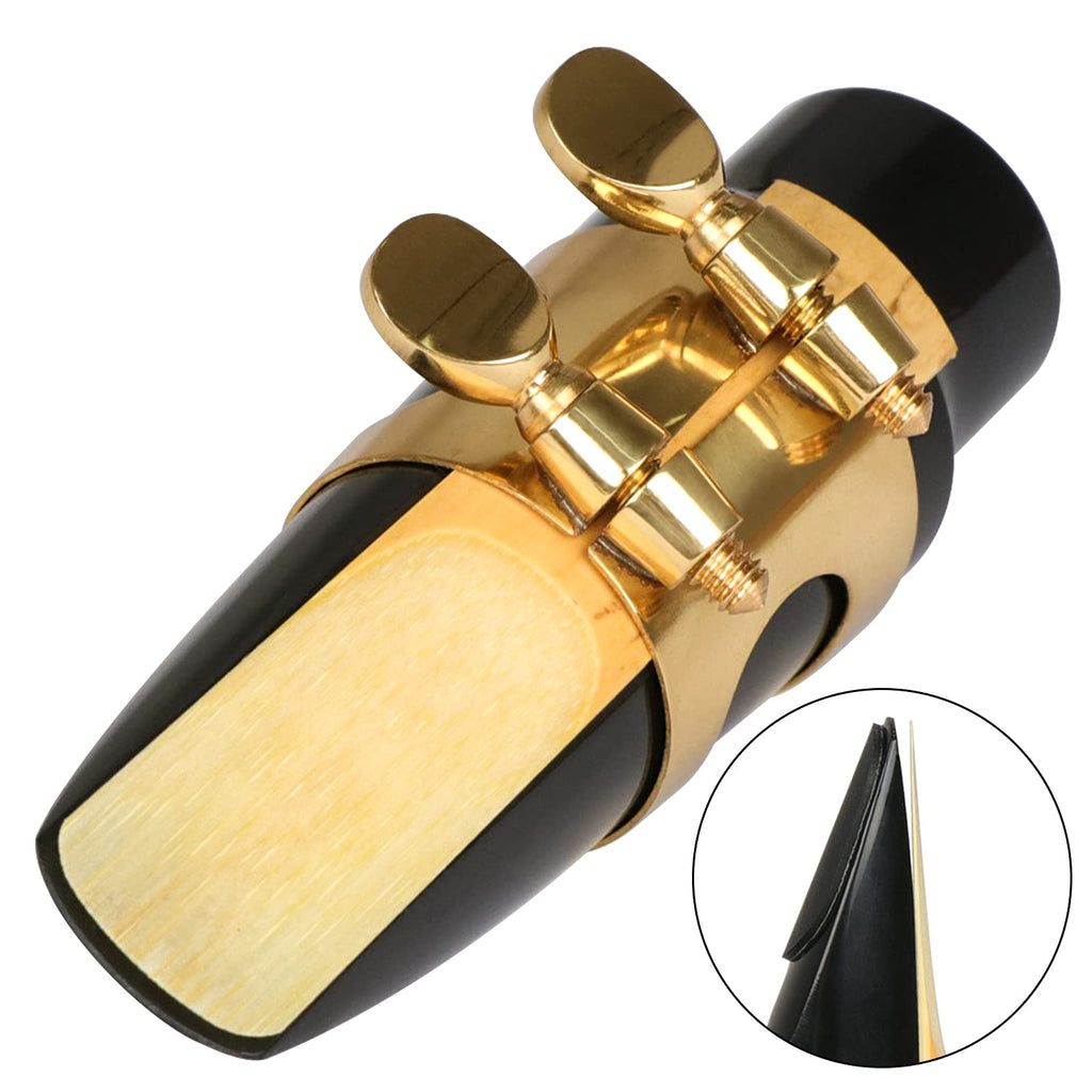 29 Pcs Alto Saxophone Mouthpiece Kit H18632