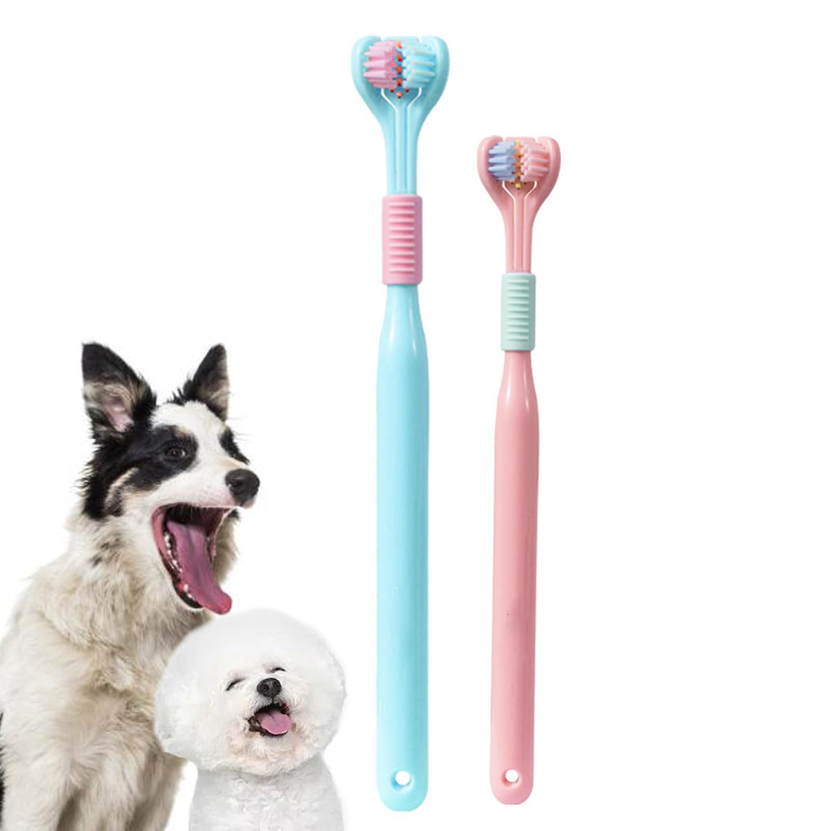 Dog Toothbrush Kit C313379