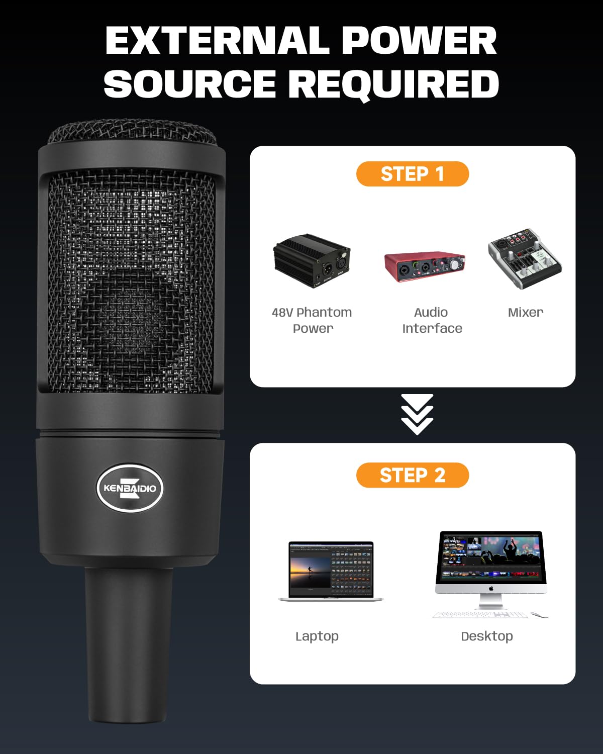 XLR Condenser Microphone with 26mm Large Diaphragm V8942