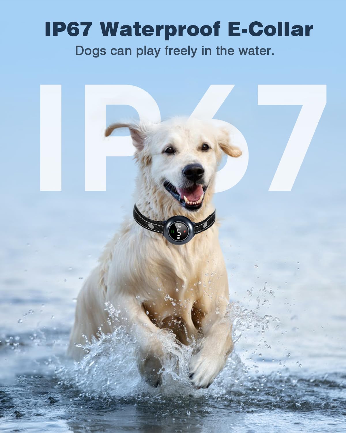 2-in-1 Dog Shock Collar & Dog Bark Collar IP67 Waterproof Y242779