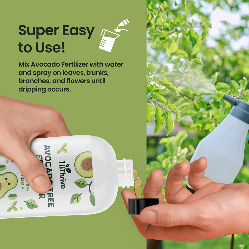 Avocado Fruit Tree Fertilizer 16oz I107