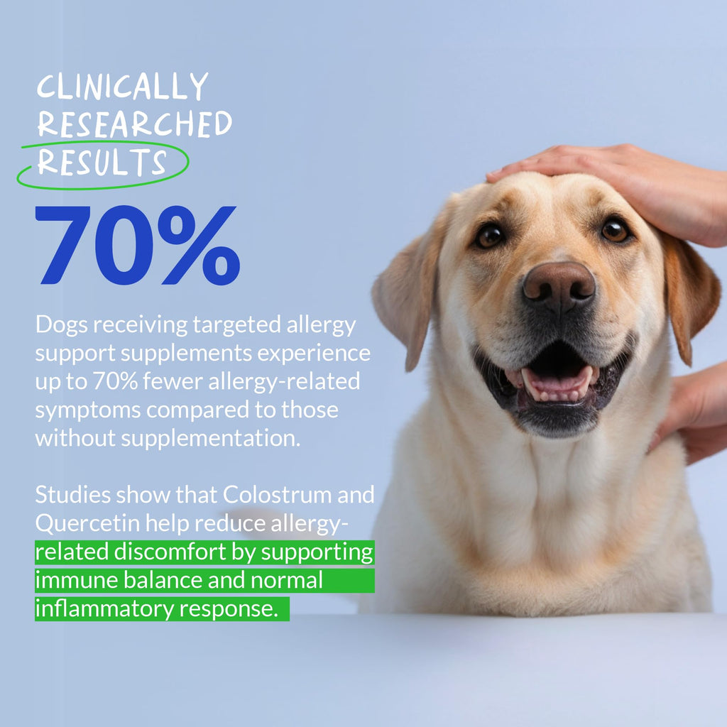 Allergy Relief for Dogs 120 Tablets L88953