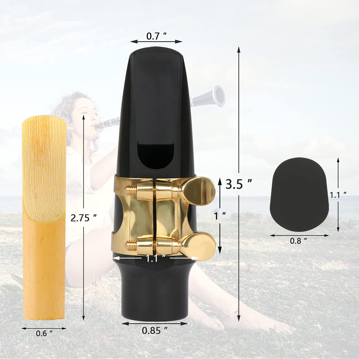 29 Pcs Alto Saxophone Mouthpiece Kit H18632