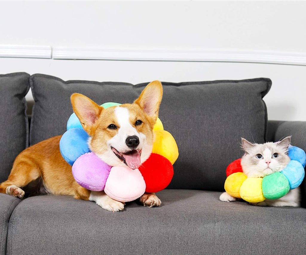Adjustable Soft Recovery Collar for Pets S710