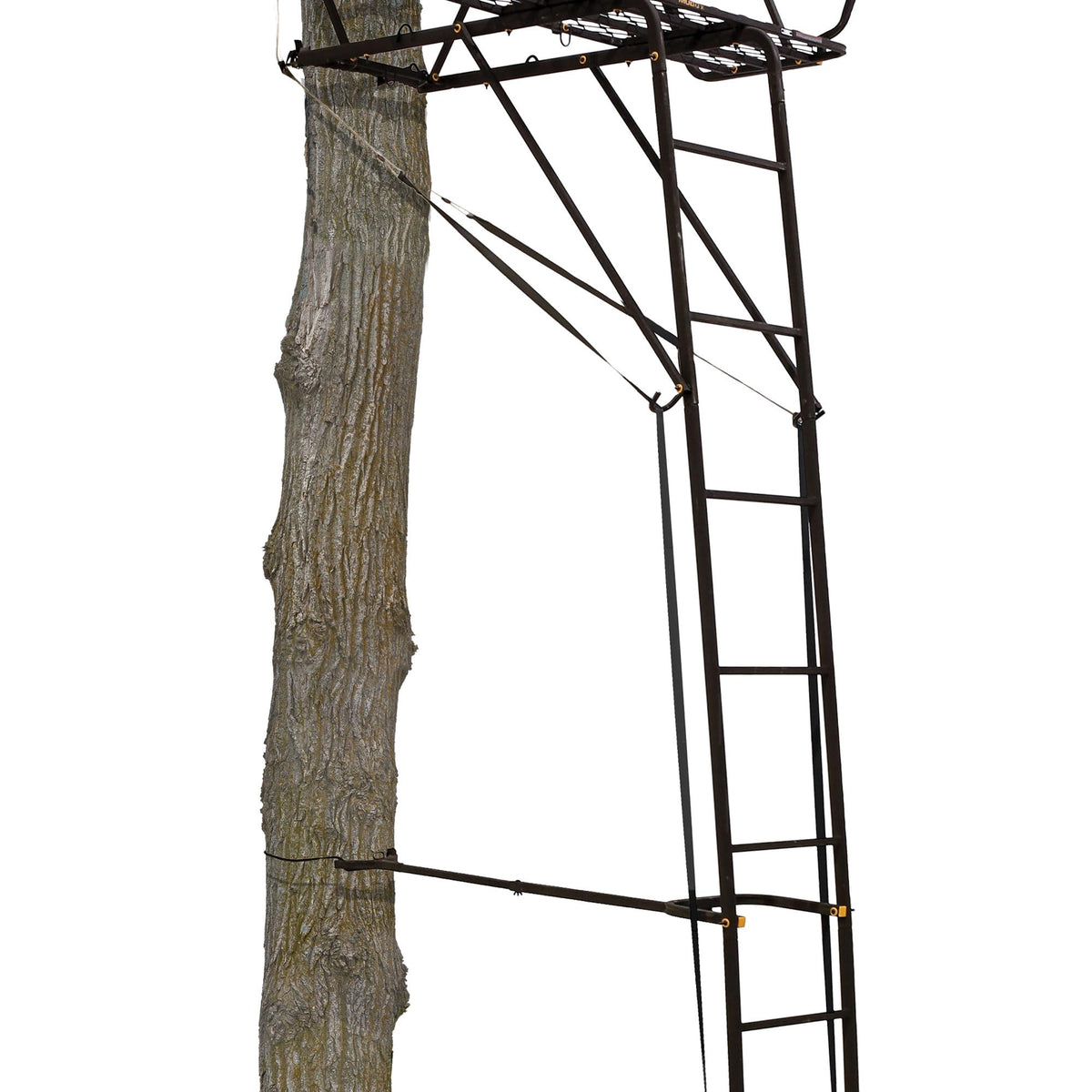 Hunting Deer Ladder Stand 20 ft with Blind Kit D4055