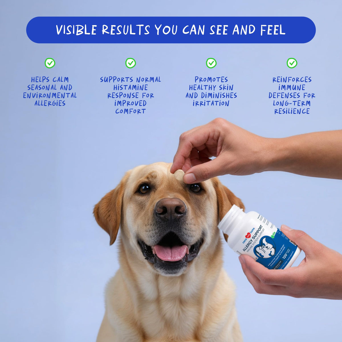 Allergy Relief for Dogs 120 Tablets L88953