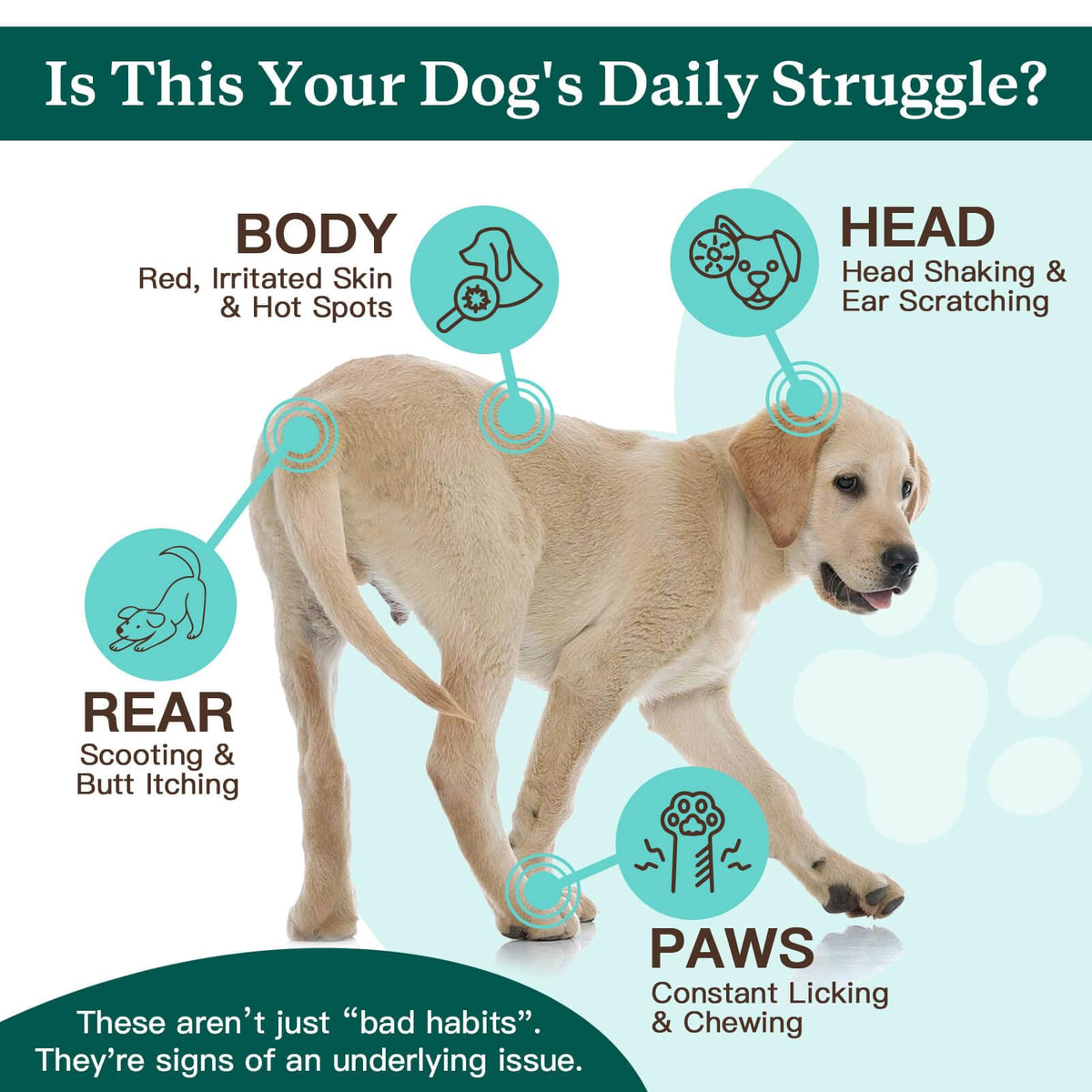 Dog Allergy Chews Real Chicken Freeze-Dried M7753