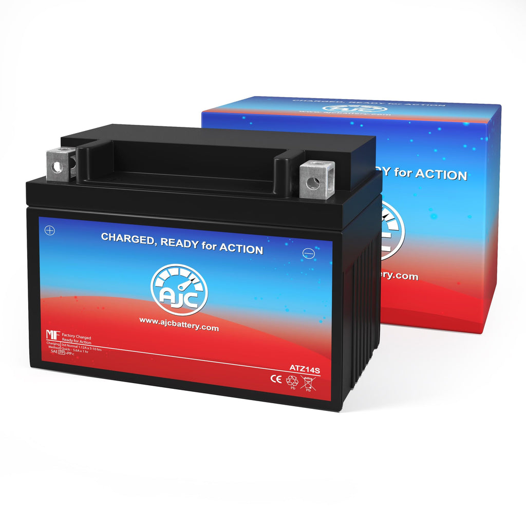 12V 11.2Ah Generator Battery U975059
