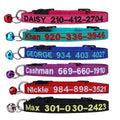 Nylon Cat Collar with Bell F69825