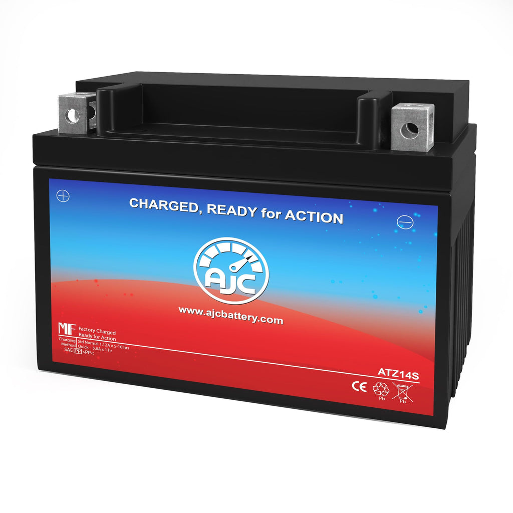12V 11.2Ah Generator Battery U975059