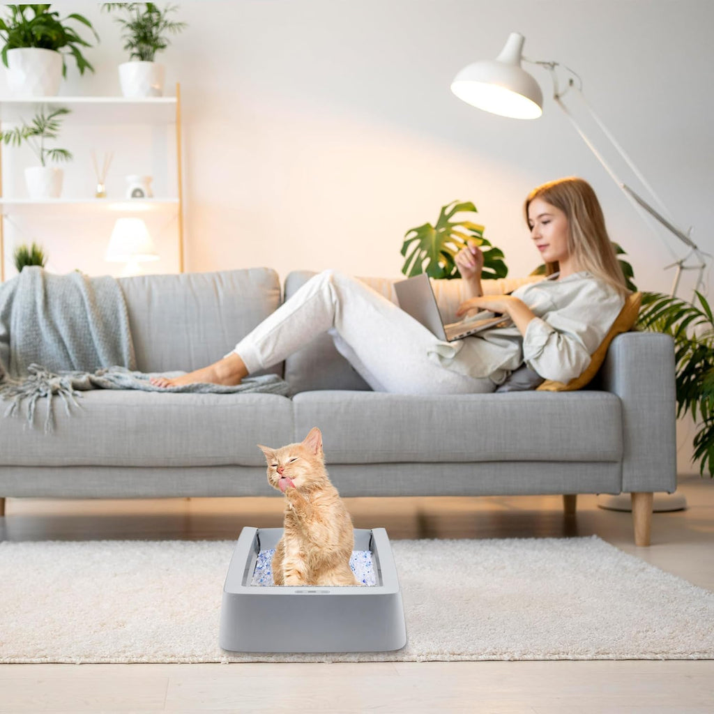 Stainless Steel Reusable Litter Tray T14864