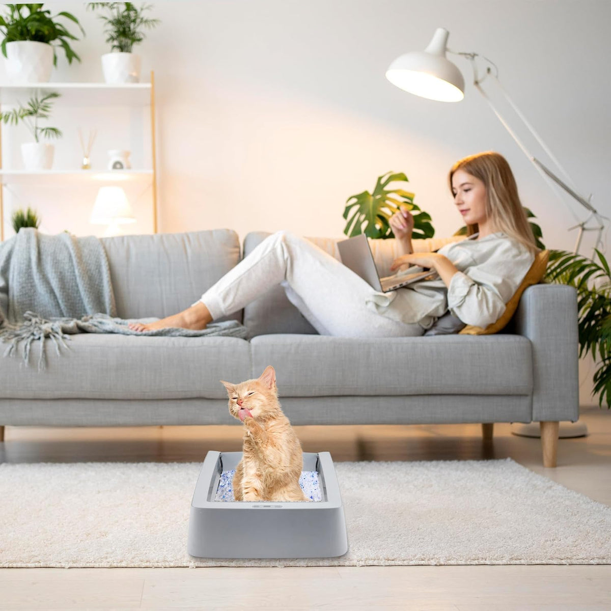 Stainless Steel Reusable Litter Tray T14864
