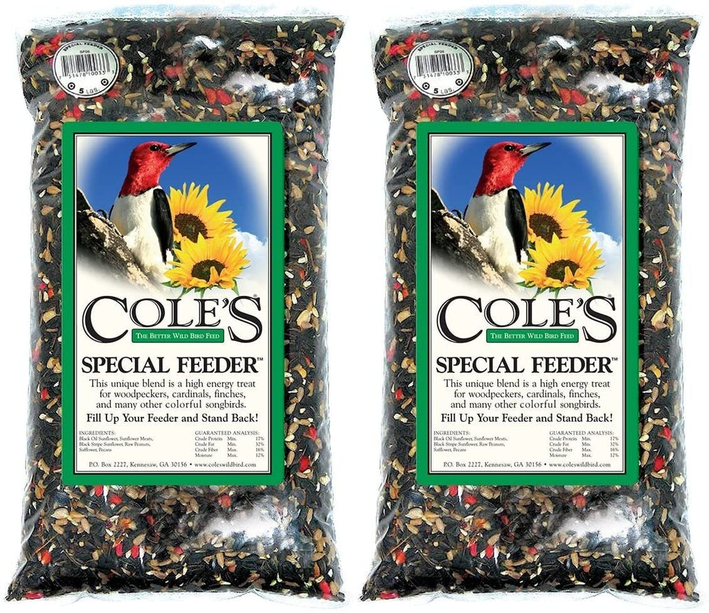 20-Pound Bird Seed T90970