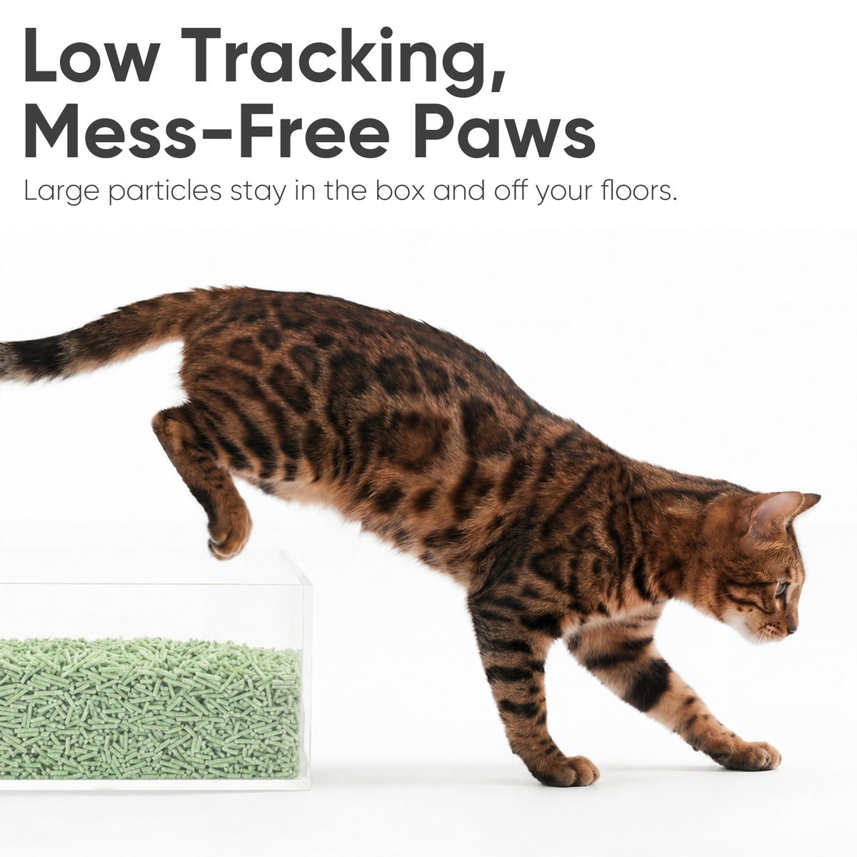 Green Tea Scented Clumping Tofu Cat Litter 12 lb A314427