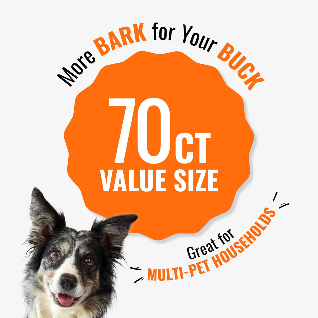 Long-Lasting Dog Treat with Real Protein, 70 Count B702543
