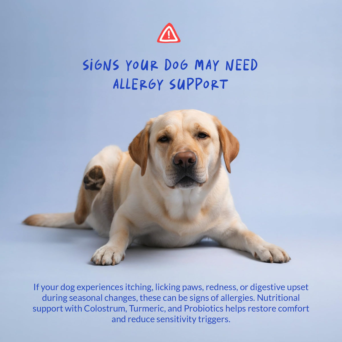 Allergy Relief for Dogs 120 Tablets L88953
