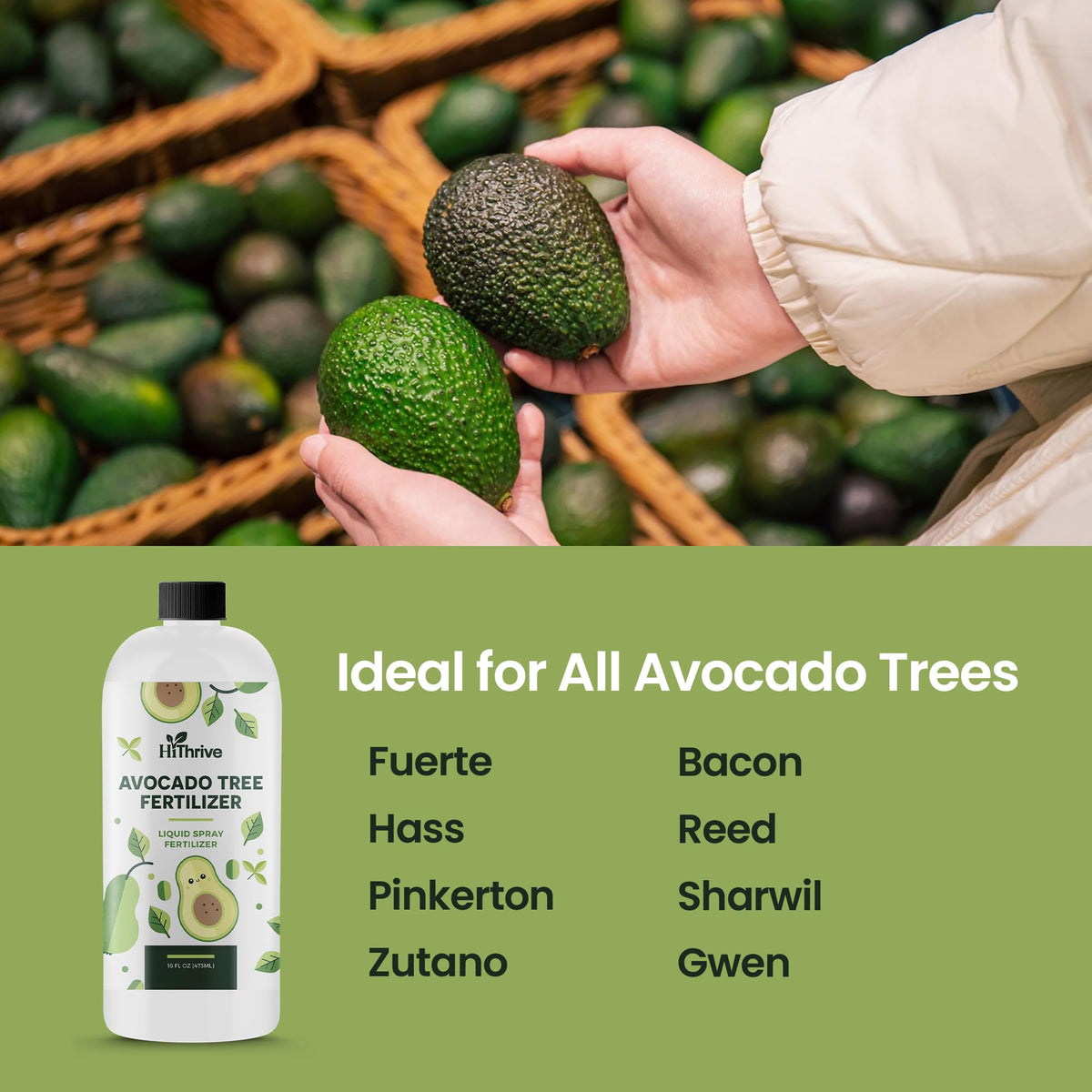 Avocado Fruit Tree Fertilizer 16oz I107