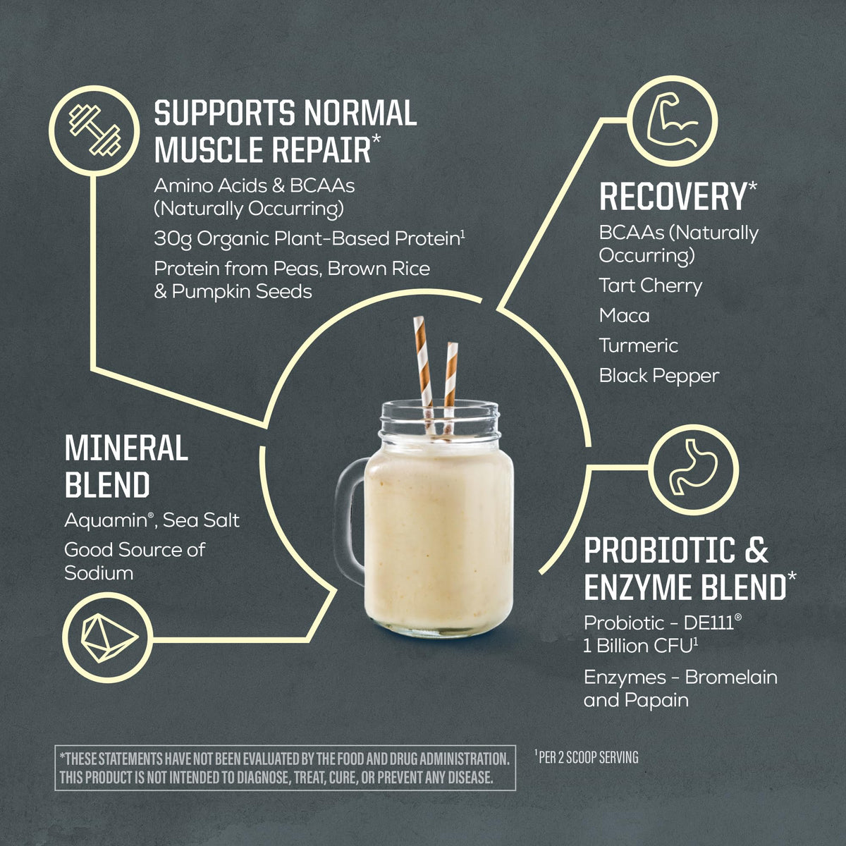Organic Plant Based Protein Powder, Vegan, Vanilla, 20 Servings G22563