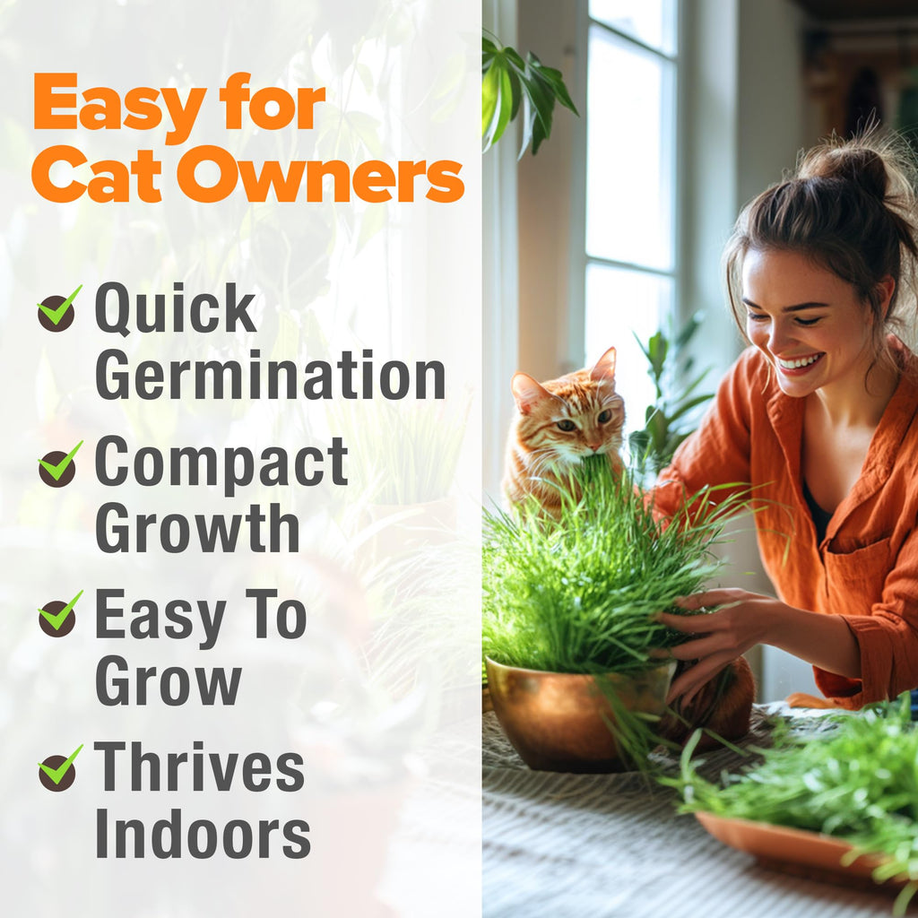 Organic Cat-Grass Seed Mix 4 oz B326015