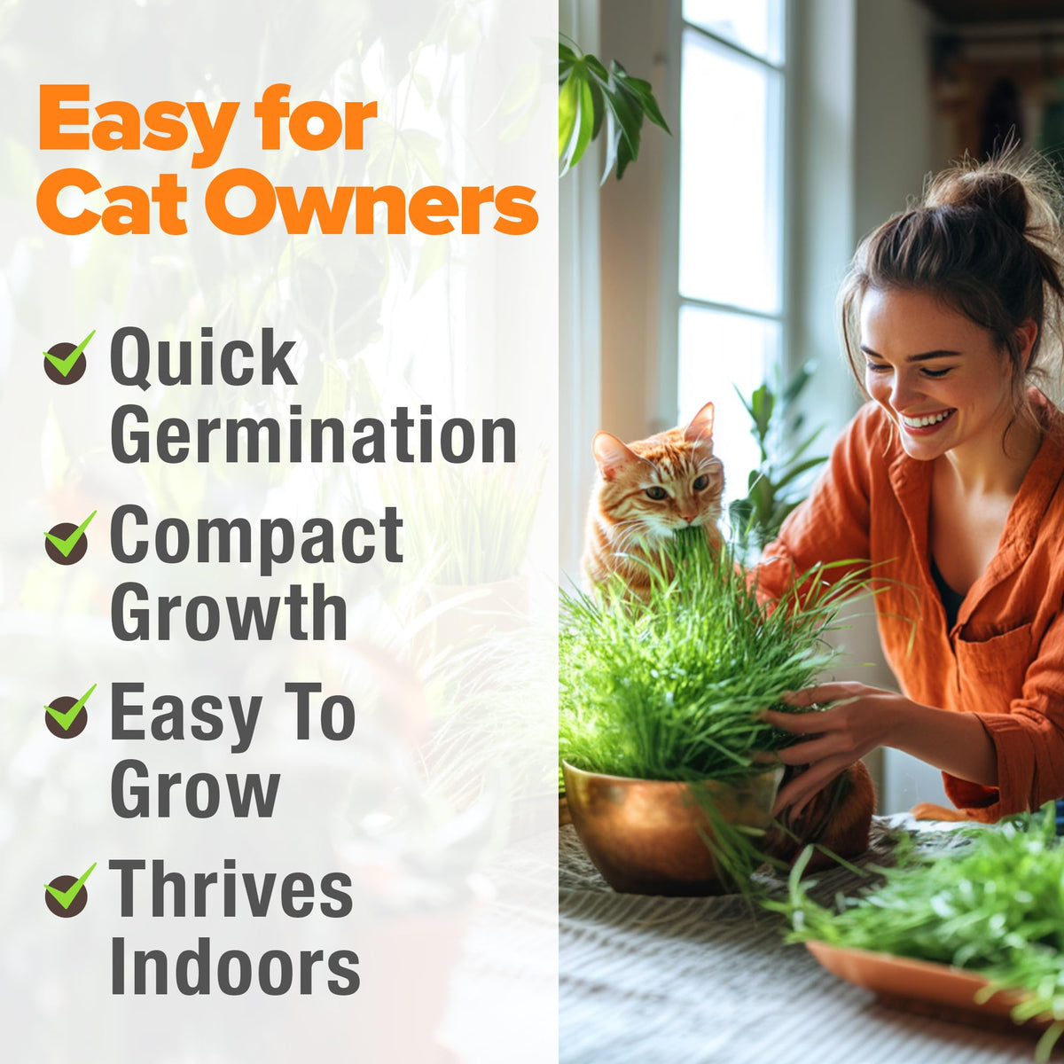 Organic Cat-Grass Seed Mix 4 oz B326015