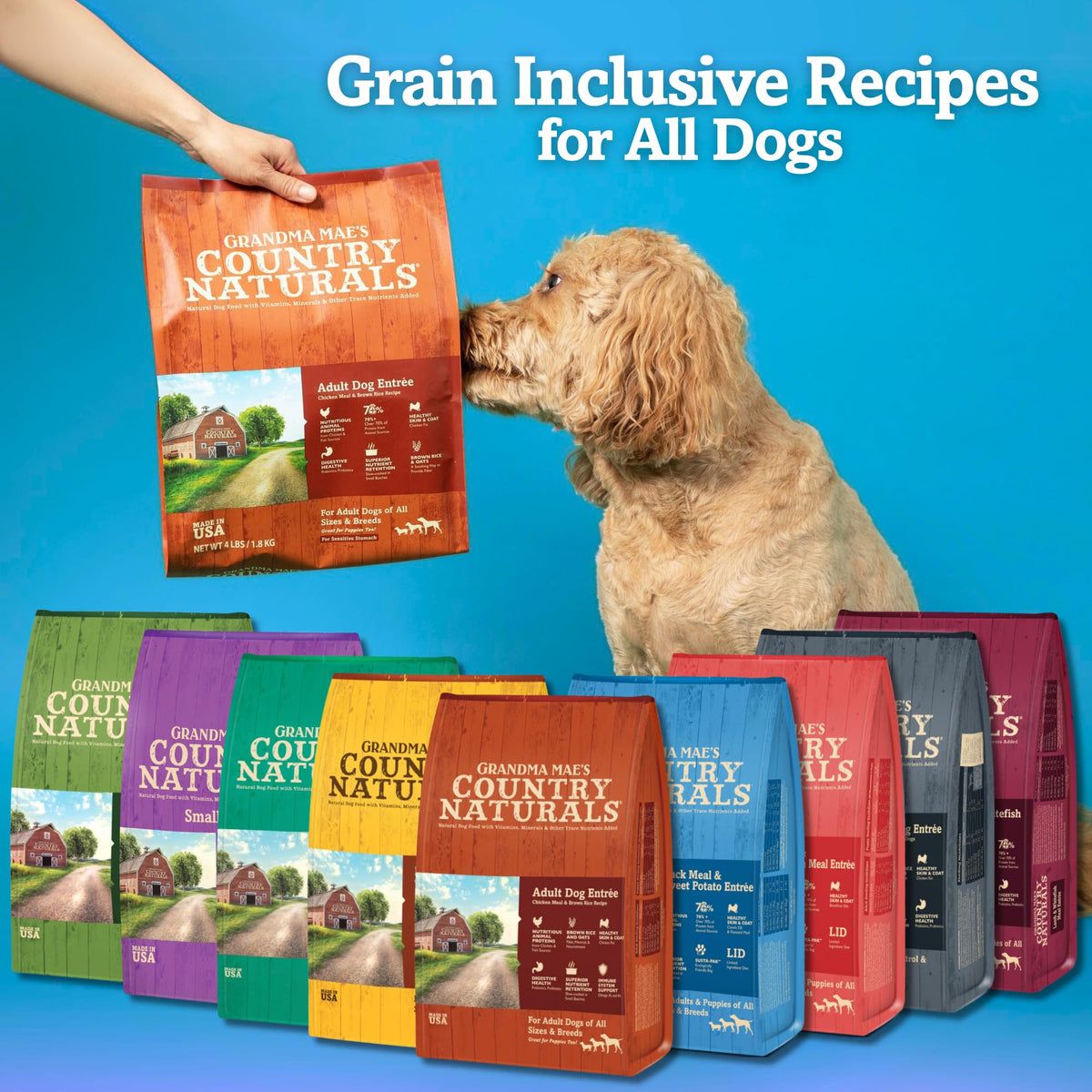 Chicken & Brown Rice Dry Dog Food 12 LB Bag X514518