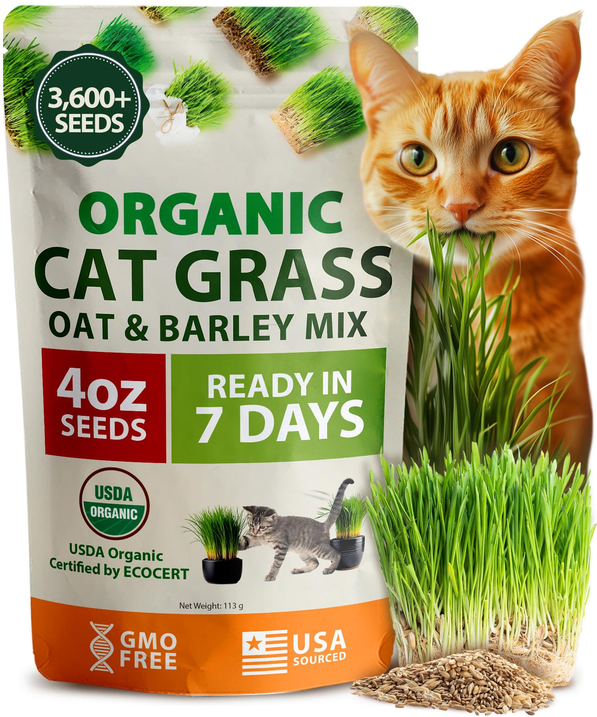 Organic Cat-Grass Seed Mix 4 oz B326015