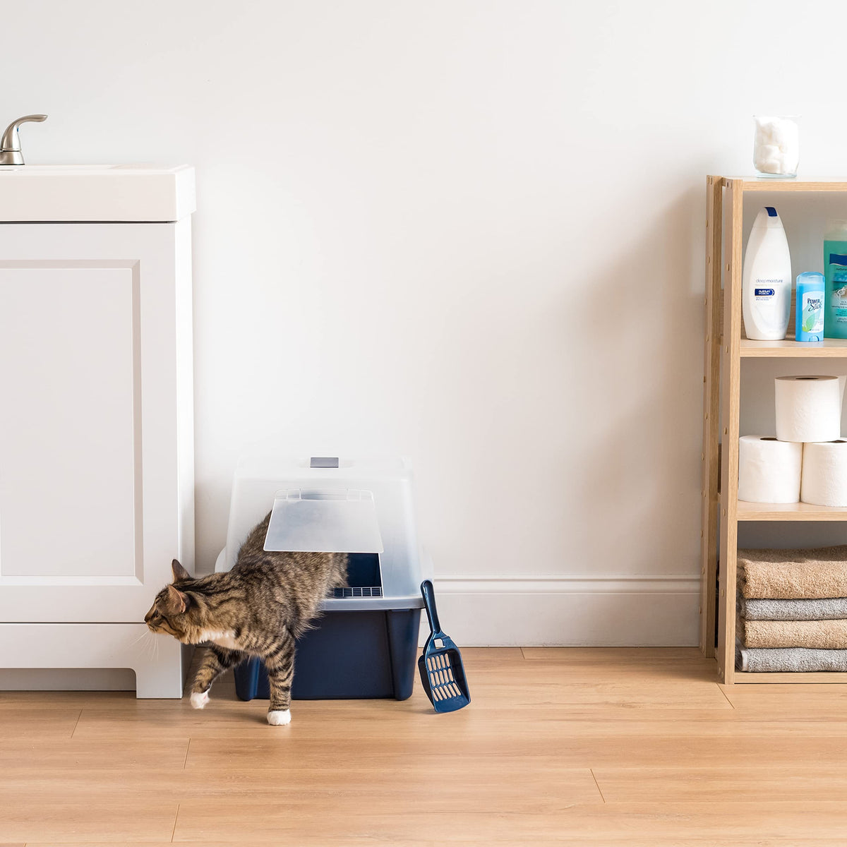 Large Front Door Cat Litter Box B369