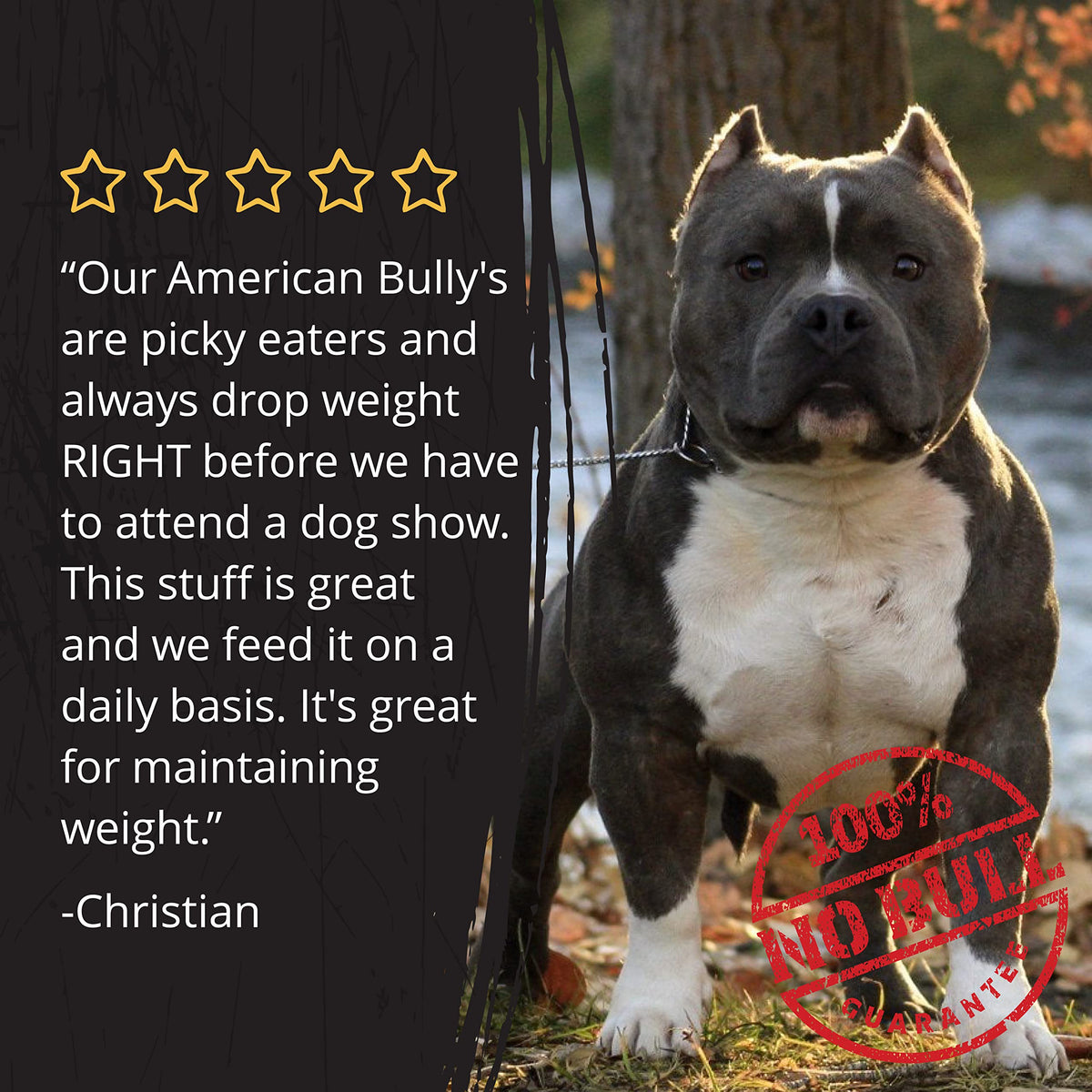 Large-Dog Bundle with 5-in-1 Dog-Food Topper and Weight Gainer A607679