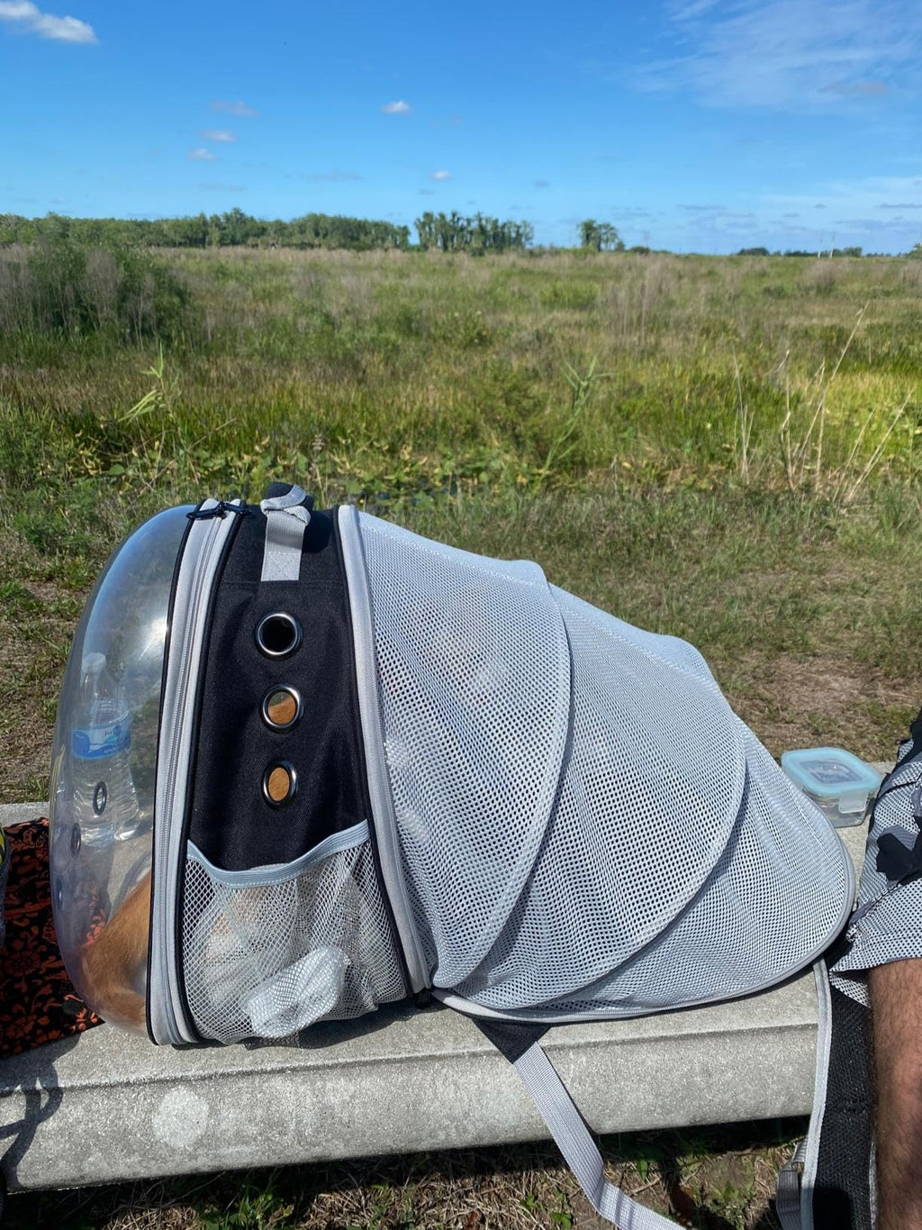 Expandable Cat Backpack Carrier with Bubble Window H2410