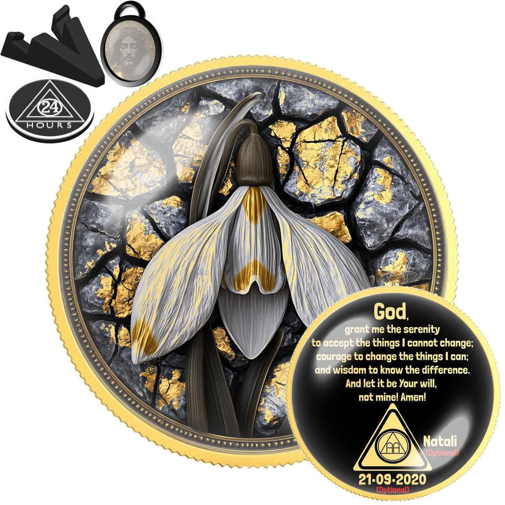 Christmas Sobriety Gift C470510