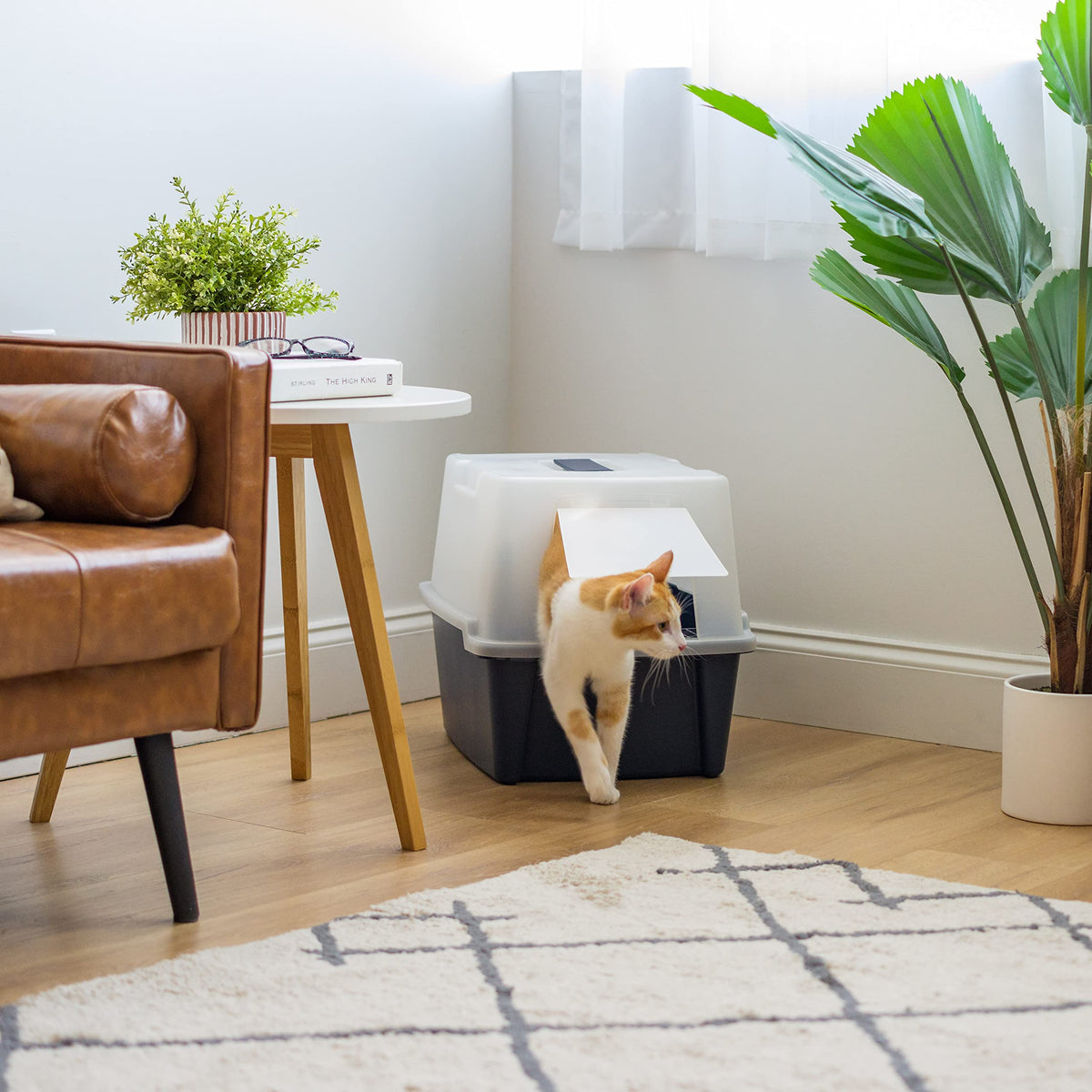 Large Front Door Cat Litter Box B369