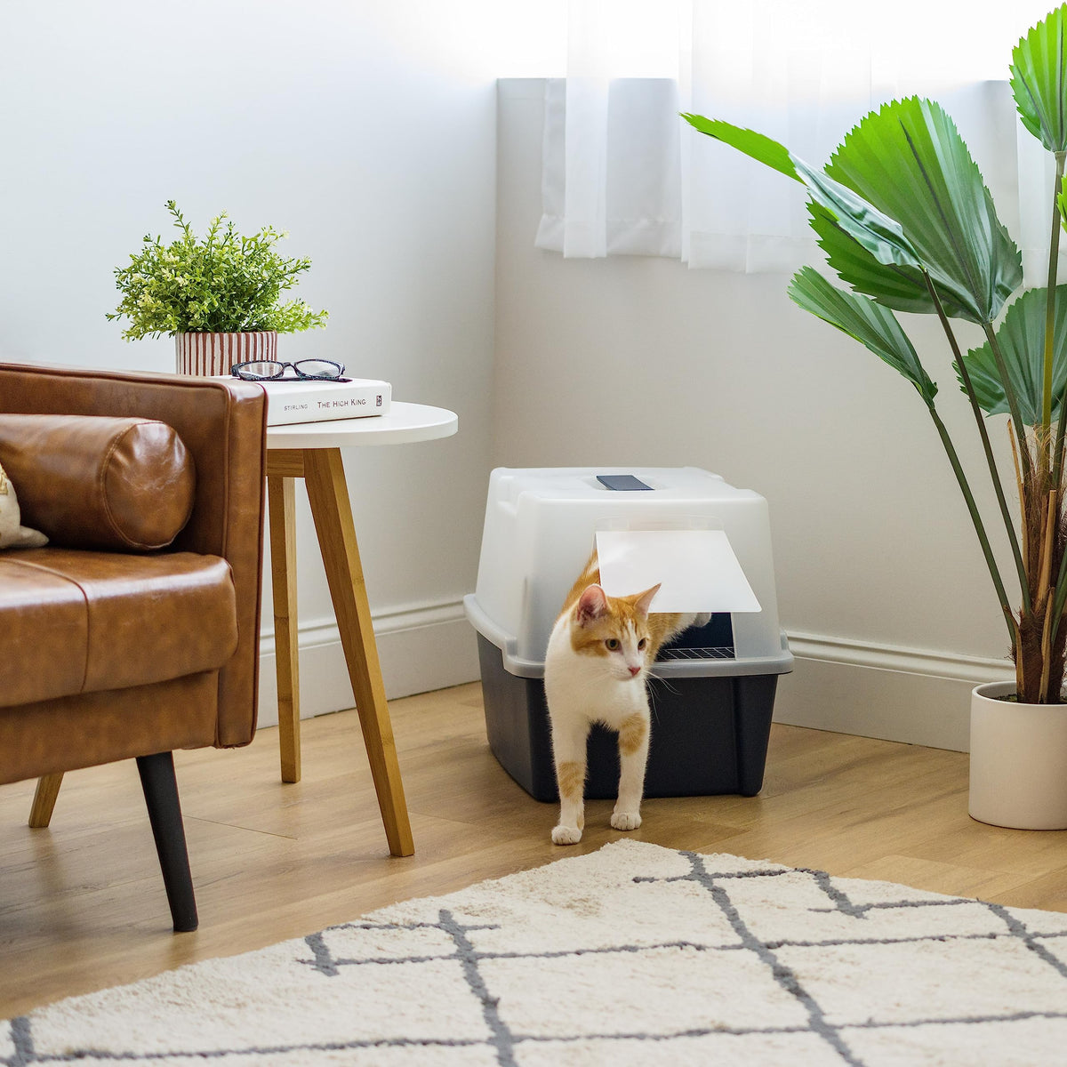 Large Front Door Cat Litter Box B369