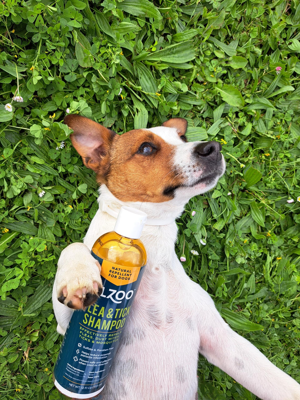 Plant Based Flea and Tick Repellent Dog Shampoo 12 Fl. Oz. H206